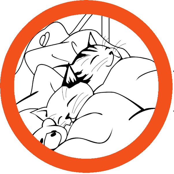Naissance